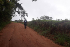 Os lançantes de minas