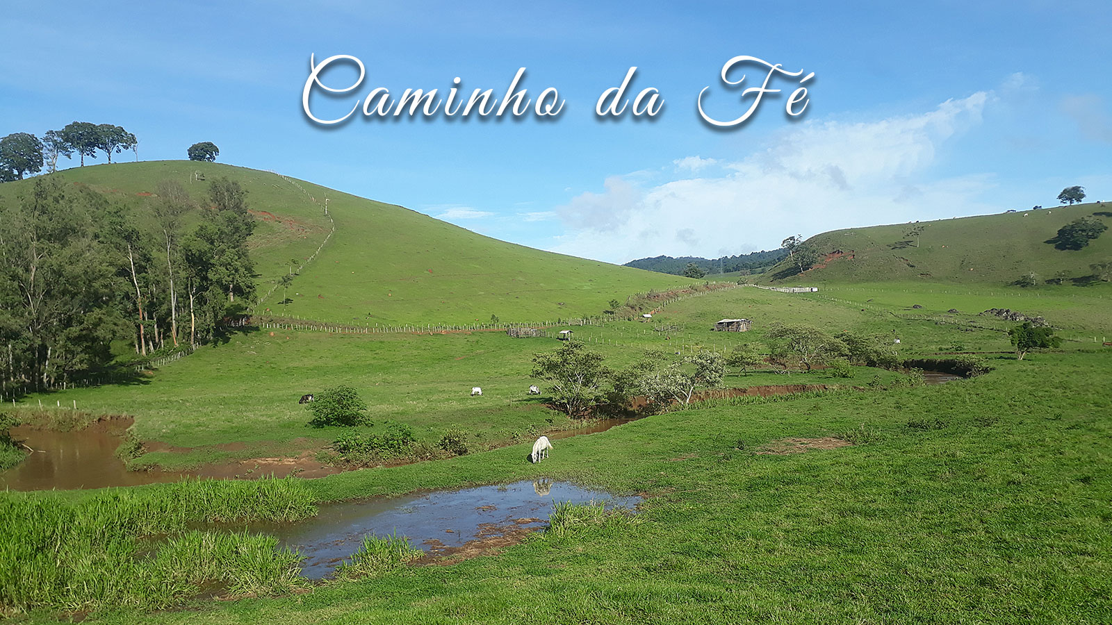 Decidimos conhecer o Caminho da Fé andando